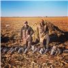 Image 1 : 3 Day - 3 Night Texas Sandhill Crane Hunt for Two Hunters