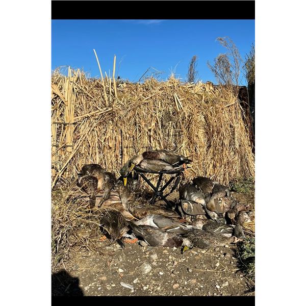 North Dakota Waterfowl Hunt Includes Lodging