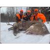 Image 2 : 5-Day Northern Wisconsin Whitetail Rifle Hunt  Link’s Wild Safaris