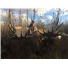Image 2 : 11 Day Trophy Yukon Moose Hunt with Yukon Big Game Outfitters in 2024 or 2025