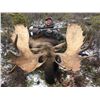 Image 3 : 11 Day Trophy Yukon Moose Hunt with Yukon Big Game Outfitters in 2024 or 2025