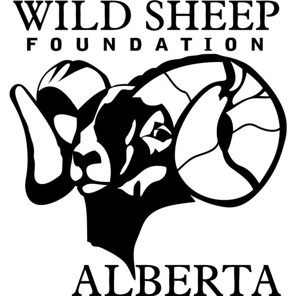 Wild Sheep Foundation Alberta Life Membership