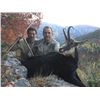 Image 1 : Hunting in Spain for Two Hunters - Espacaza - Spain