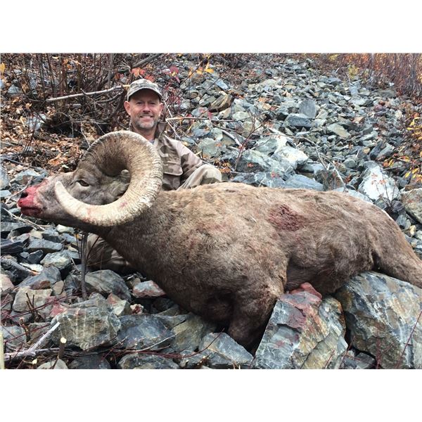 $5000 Credit towards BC Mtn Goat, CA. Bighorn Sheep, Moose or Mtn Lion Hunt BC Trophy Mountain Outfi
