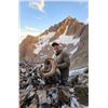 Image 2 : Yukon Stone Sheep Hunt with Yukon Big Game Outfitters in 2024 or 2025
