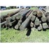 Image 10 : Mix Lot of Fence Poles 4-5" 110 Plus New + Used