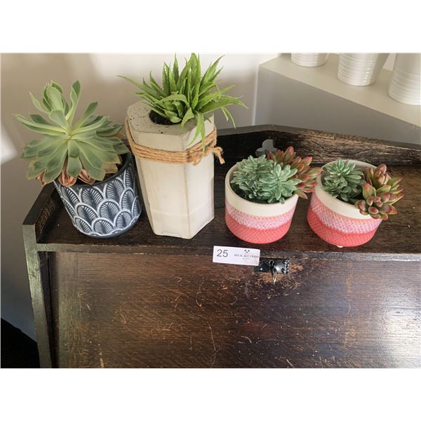 4 x Potted Plants (Real and Artificial)