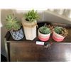 Image 1 : 4 x Potted Plants (Real and Artificial)