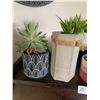 Image 2 : 4 x Potted Plants (Real and Artificial)