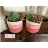 Image 3 : 4 x Potted Plants (Real and Artificial)
