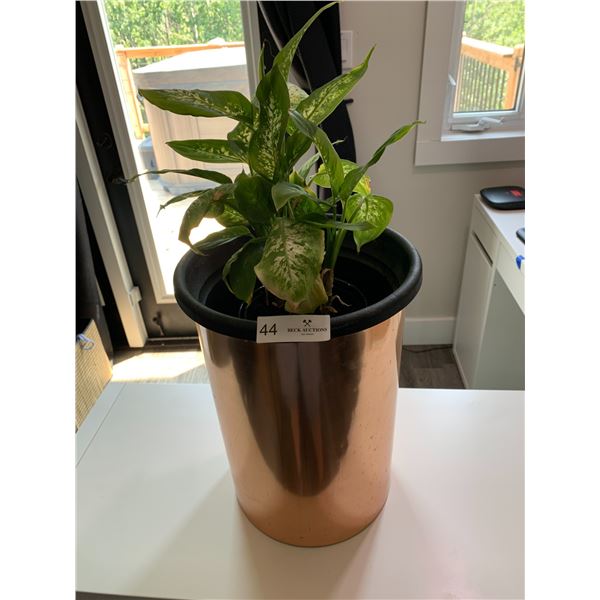Copper-Coloured Flowering Pot w/ Live Plant