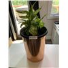 Image 1 : Copper-Coloured Flowering Pot w/ Live Plant