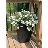 Image 1 : Outdoor Planter w/ Live Plant (24.5"H)