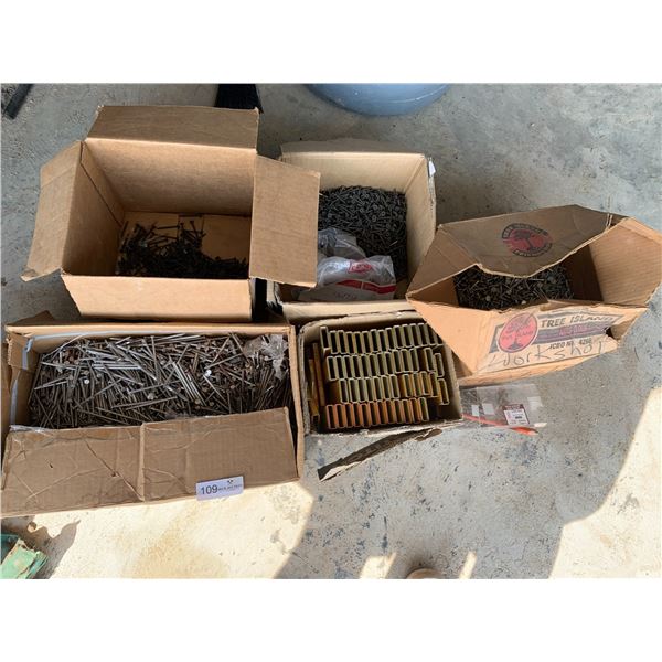 Assortment of Hardware - Nails, Staples, and More!