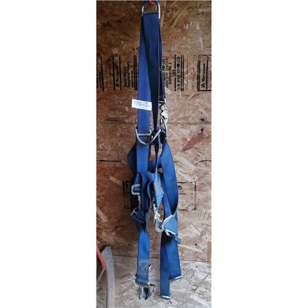 Safety Harness