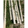 Image 1 : 50 Feet Wheeping Tile Pipe With Sock - 12 Pieces 3 Inch Perferated Drain Piper
