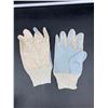 Image 2 : Lot of Gardening Gloves