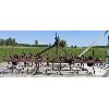 Image 1 : S-TINE CULTIVATOR - 3 PTH - 10 FOOT 