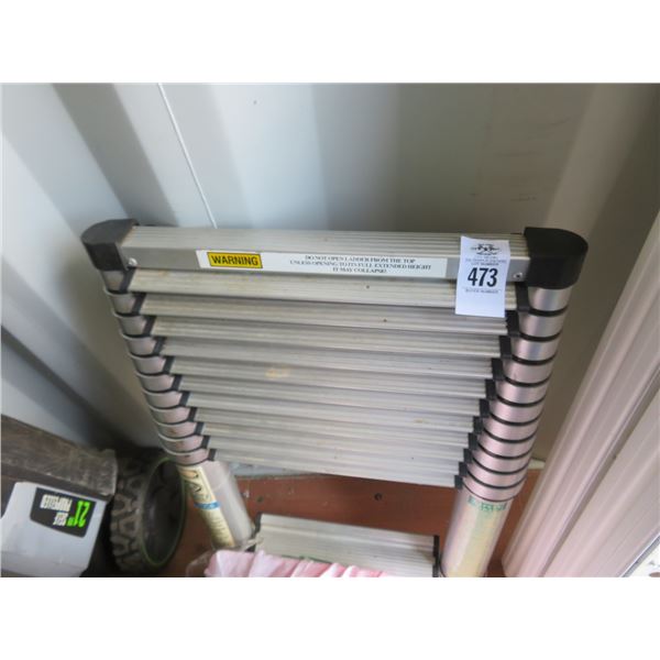 12' Telescoping Ladder