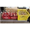 Image 1 : Large collection of Coca-Cola bottles