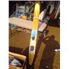 Image 1 : ono set ofmarlin water skis 62 inches tall