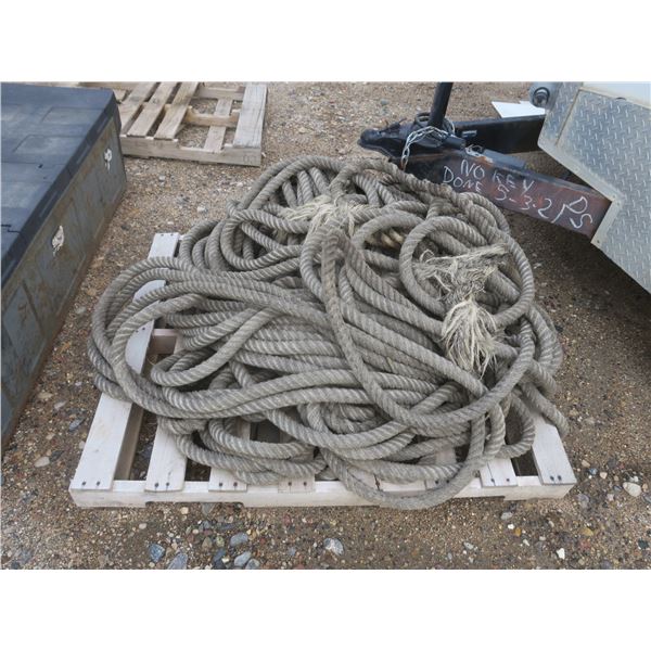 Pallte With Ropes Pallet of rope - Schmalz Auctions