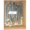 Image 1 : 38lb box  3/4"× 9" bolts