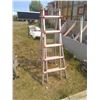 Image 1 : Little Giant ladder