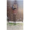 Image 1 : Pair of hiking poles - like new