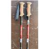 Image 2 : Pair of hiking poles - like new