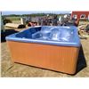 Image 1 : Beachcomber Hot tub leaks ( consignor believes upper jet) untested