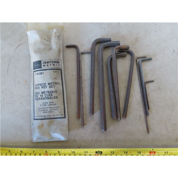 10 Piece Craftsman Hex Key Set