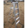 Image 3 : 5ft ladder
