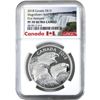 Image 1 : 2018 1oz $15 Magnificent Bald Eagles NGC PF70 Ultra Cameo First Releases (Tax Exempt)