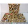 Image 1 : (3) Boards of Collector Travel Lapel Pins