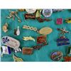 Image 2 : Large Lot of Assorted Lapel Pins