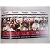 Image 3 : 2009 Arizona Cardinals sample season ticket book