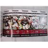Image 4 : 2009 Arizona Cardinals sample season ticket book