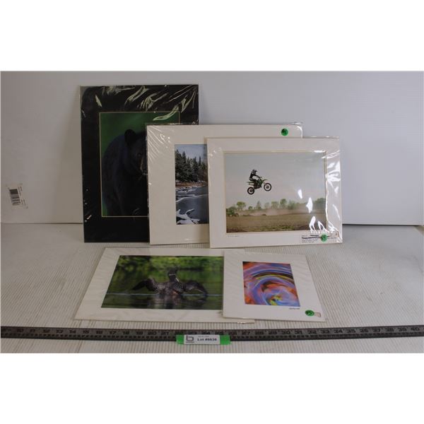 (5) Matted Alex Mowatt Photography Pieces