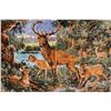 Image 2 : Deer Rug (49" x 74" - right side missing tassels)