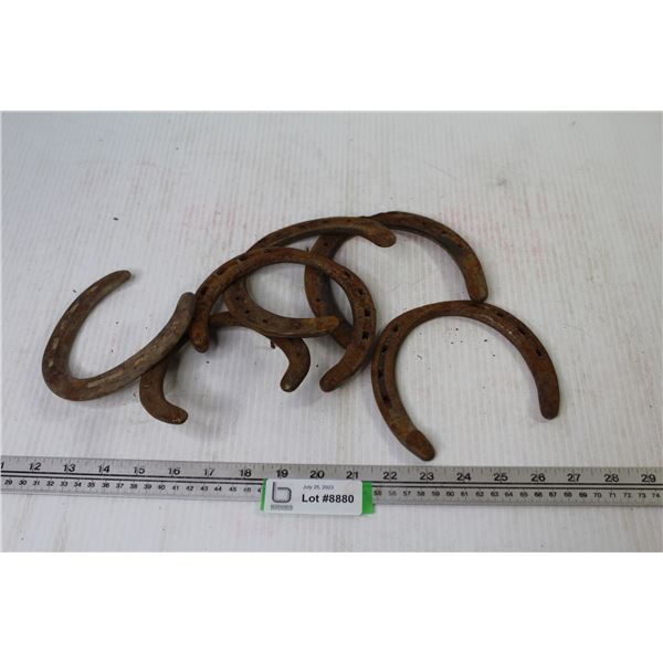 (30+) Small Horse Shoes - 5 Gallon Pail