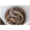 Image 3 : (30+) Small Horse Shoes - 5 Gallon Pail