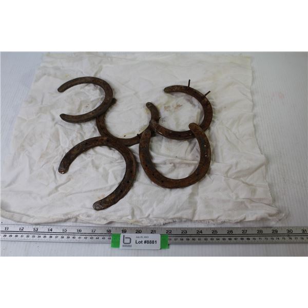 (30+) Small Horse Shoes - 5 Gallon Pail