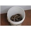 Image 2 : (30+) Small Horse Shoes - 5 Gallon Pail