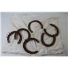 Image 6 : *(30+) Small Horse Shoes - 5 Gallon Pool Weed Killer Pail