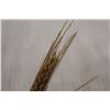 Image 2 : (2) Wheat in Resin Bookends