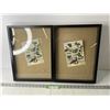 Image 1 : (2x Bid Price) (2) 12" x 16" Shadow Boxes