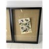 Image 2 : (2x Bid Price) (2) 12" x 16" Shadow Boxes
