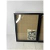 Image 2 : (2x Bid Price) (2) 12" x 16" Shadow Boxes