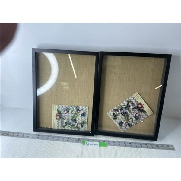 (2x Bid Price) (2) 12" x 16" Shadow Boxes